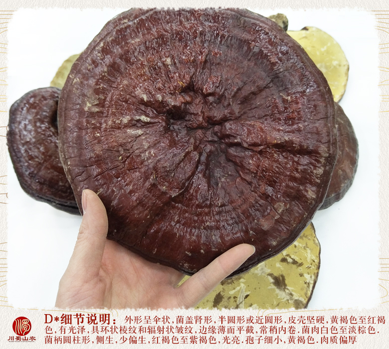 cstcssnhonglingzhihourouzhitonghuo09.jpg