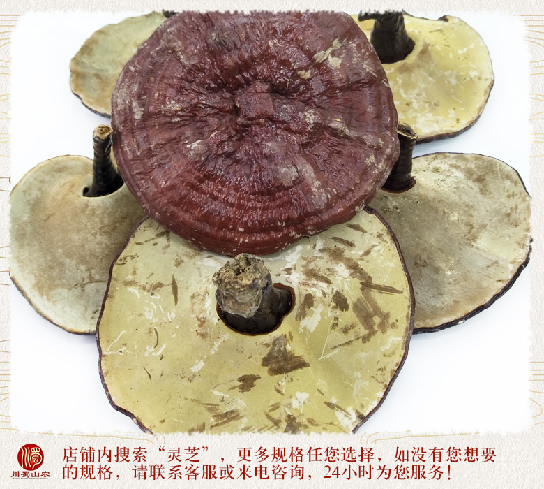 cstcssnhonglingzhihourouzhitonghuo012.jpg