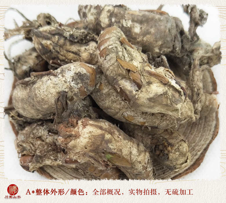 cstcssnchanhuagezitong08.jpg