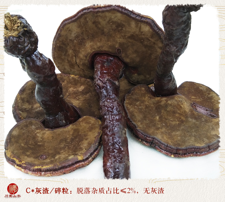 cstcssnhonglingzhixiaogetonghuo06.jpg