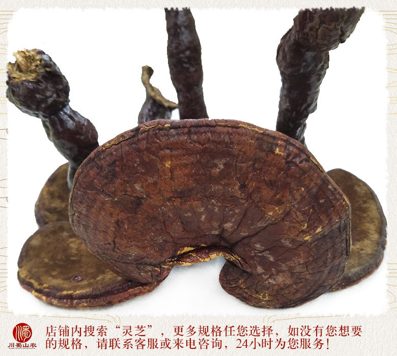 cstcssnhonglingzhixiaogetonghuo012.jpg