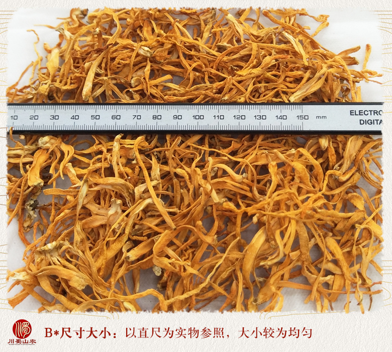 cstcssnchongcaohuaxuanhuo09.jpg