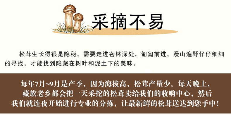 xiansongrongxiangqing012.jpg