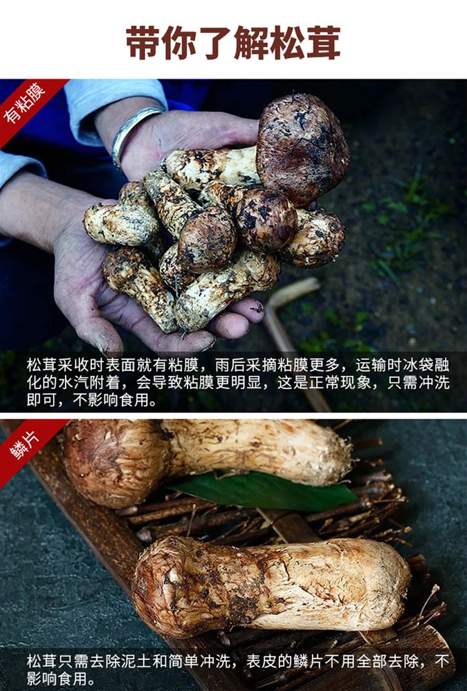 xiansongrongxiangqing016.jpg