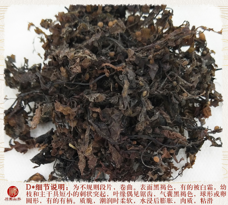 cstcssnhaizaodayetonghuo016.jpg
