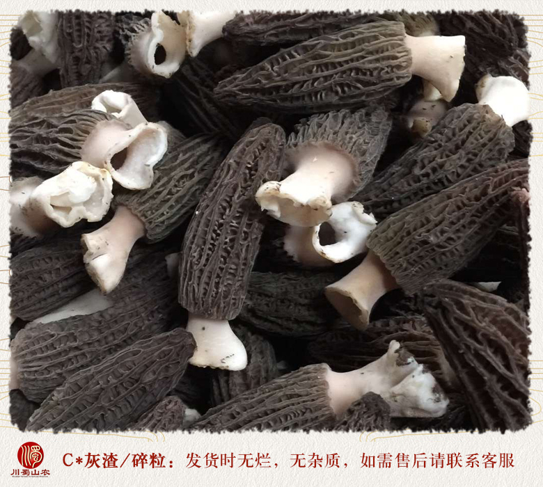cstcssnxinxianyangdujun010.jpg