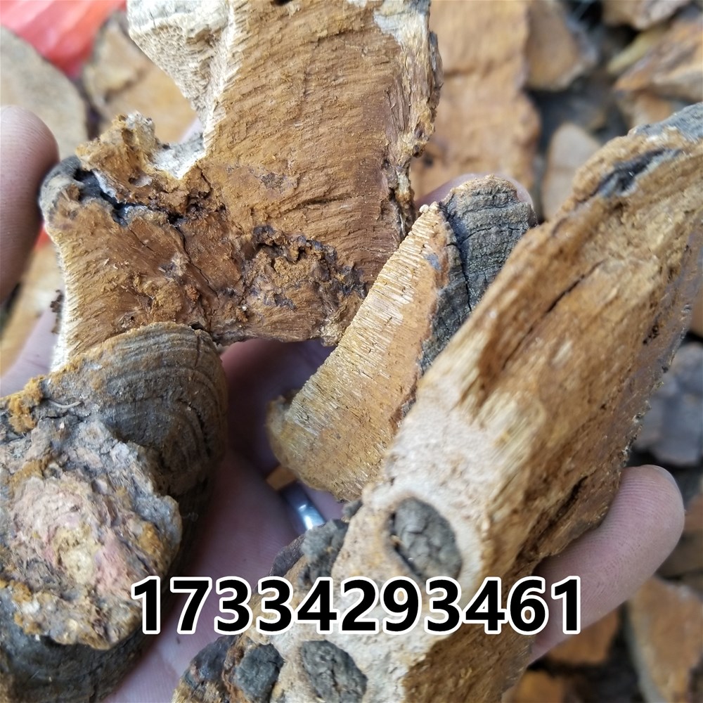 20190303_144206.jpg