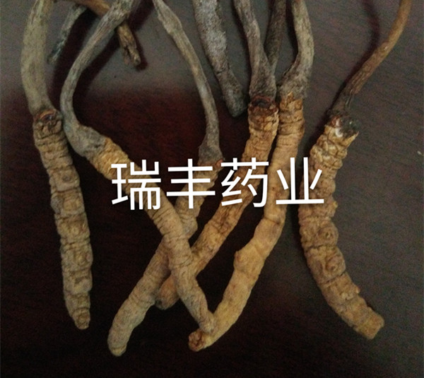 IMG_20161209_125411_mh1481259624899_副本.jpg