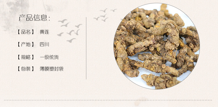 黄连_02.jpg