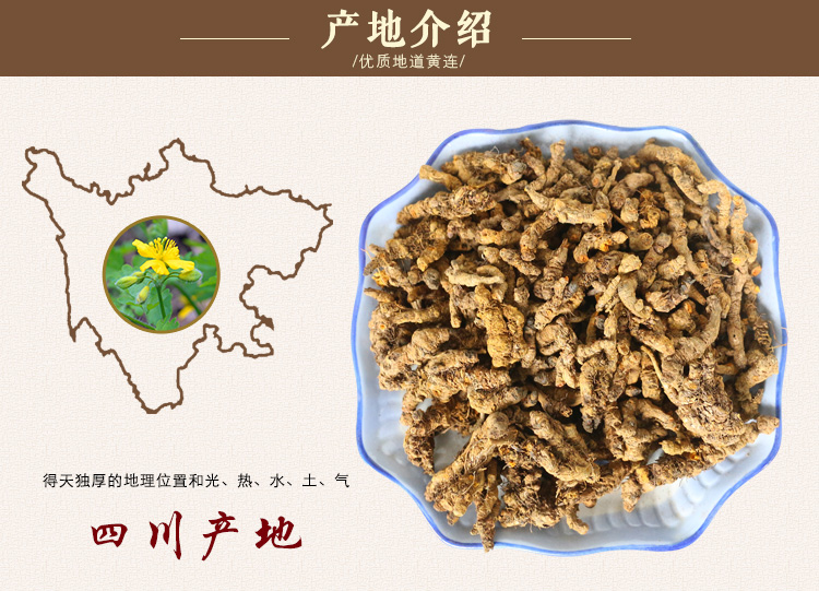 黄连_10.jpg