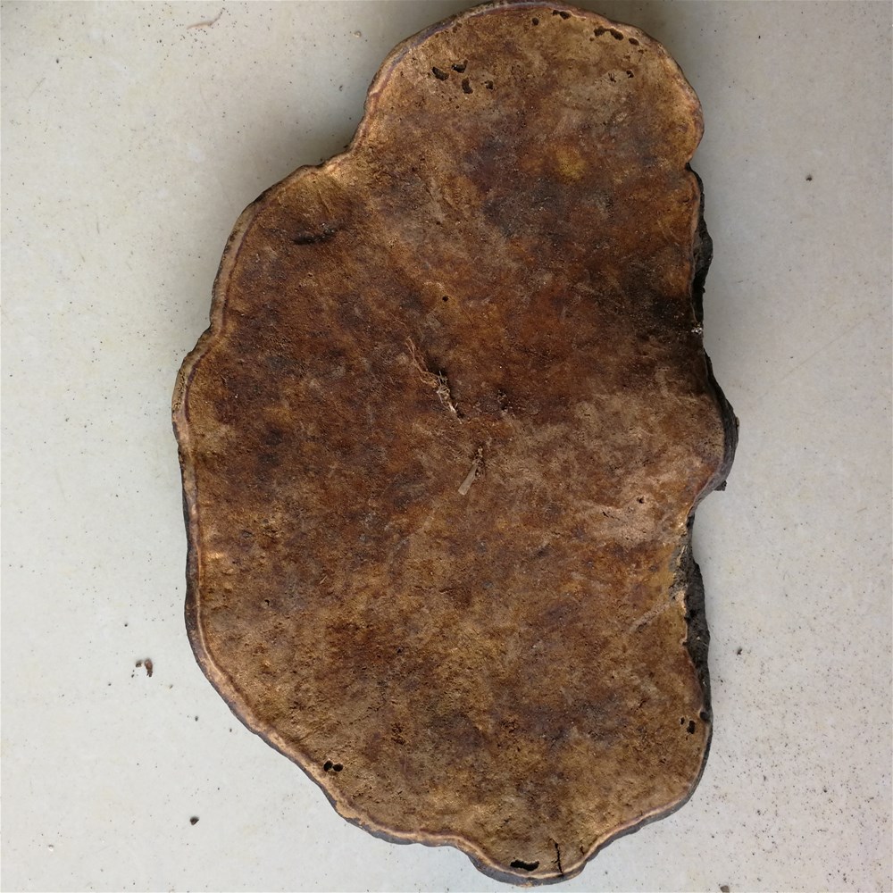 mmexport1561372691757.jpg