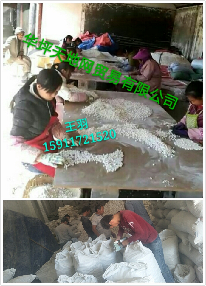 微信图片_20170322212015.jpg
