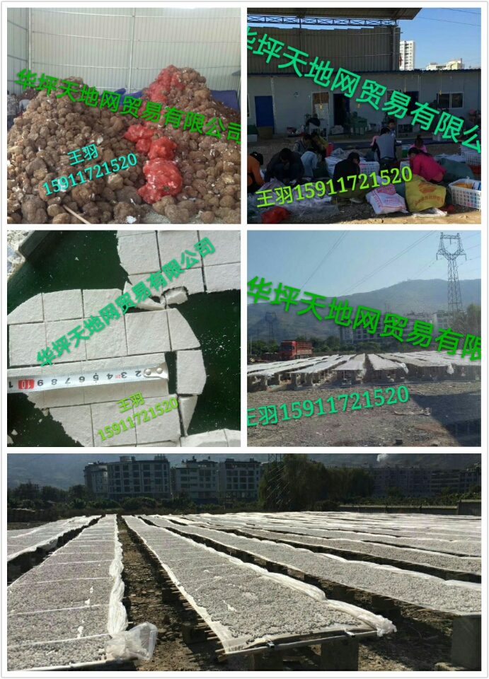 微信图片_20170322211413.jpg