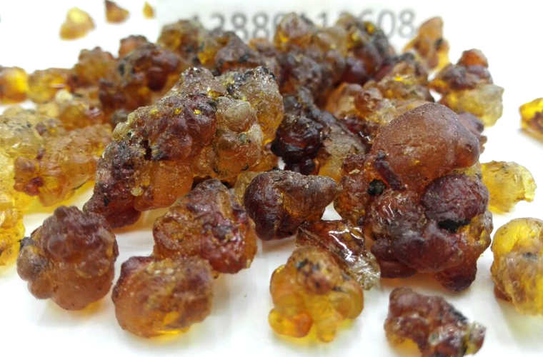taojiaodaizaal015.jpg