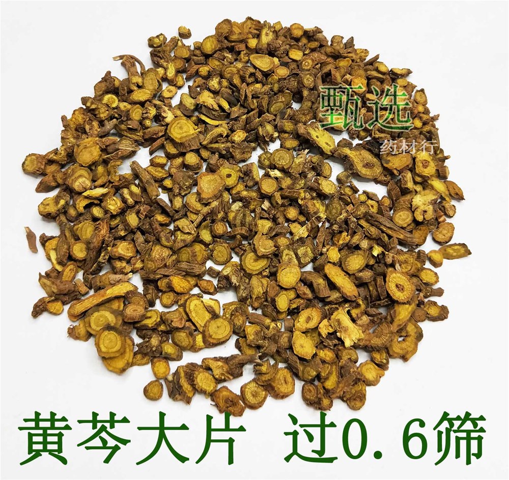 黄芩大片水印1.jpg