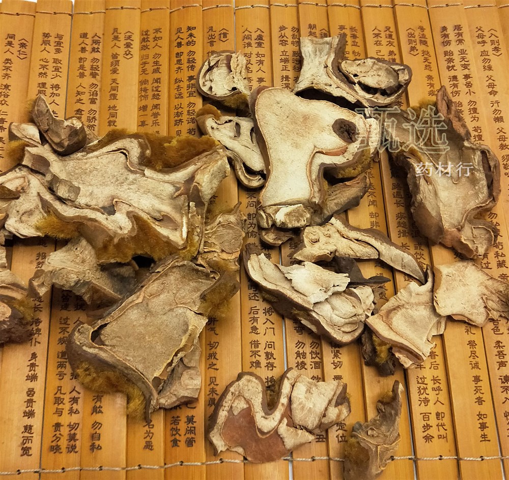 金毛狗脊水印8.jpg