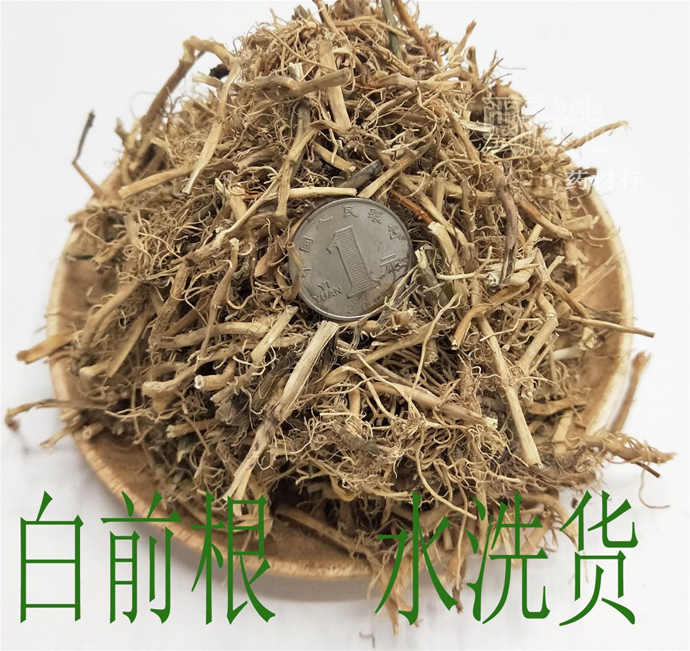 白前根水印1.jpg