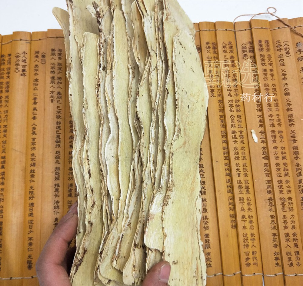 黄芪大压片5公分宽水印8.jpg