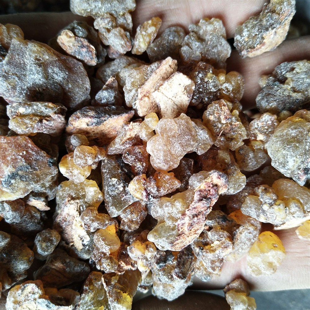 QQ图片20181030141415.jpg