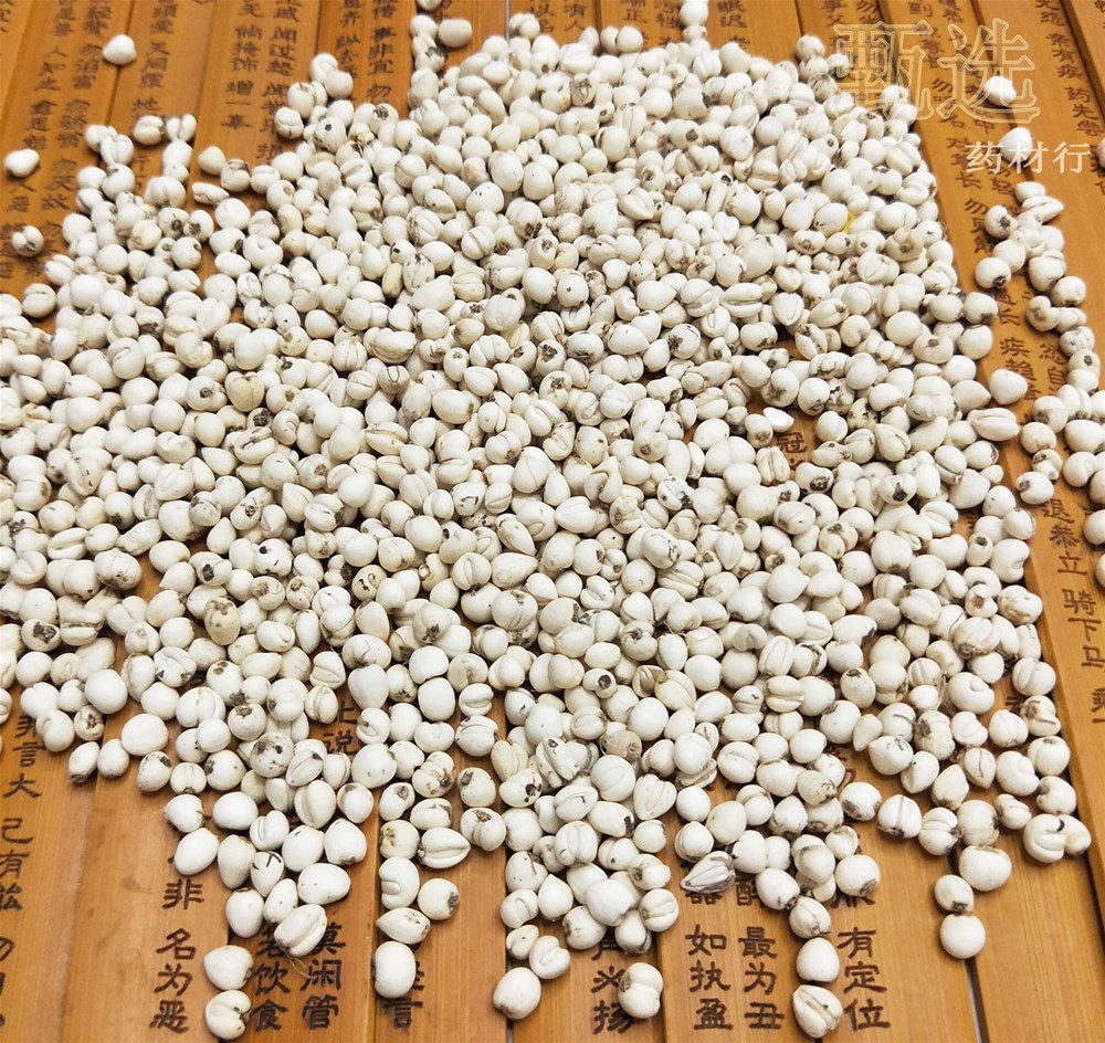 川贝母珍珠贝选货水印9.jpg