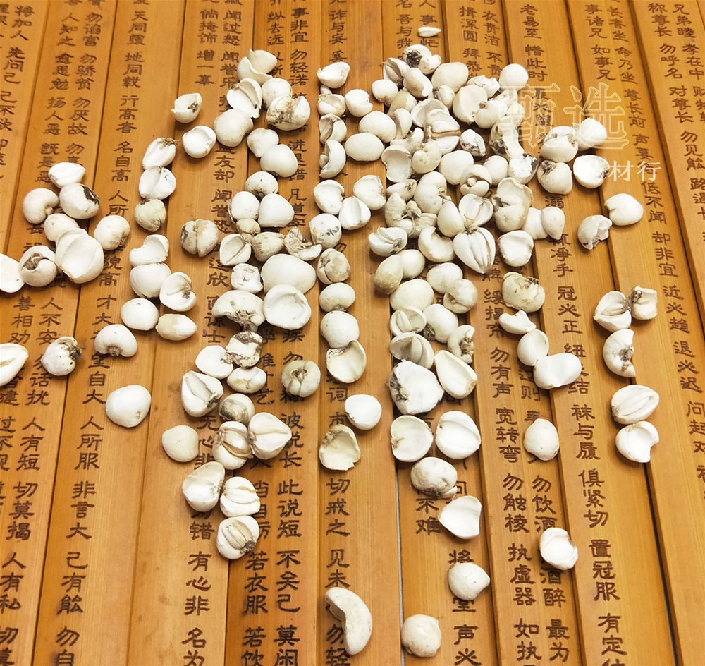 川贝青贝碎瓣水印7.jpg