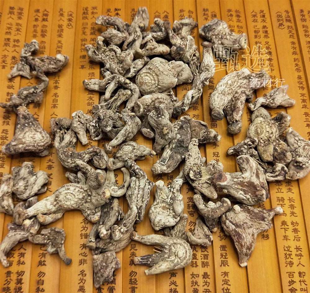 云南白芨统个水印7.jpg
