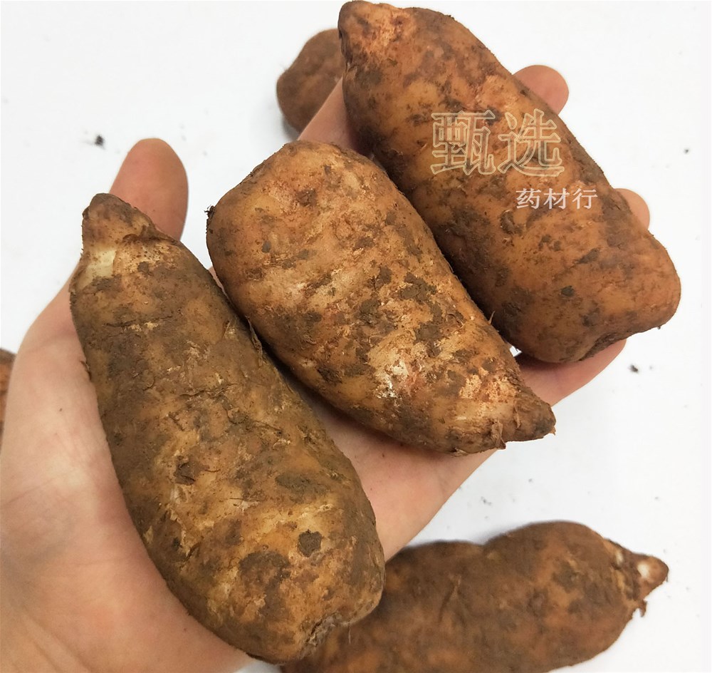 云南小草坝鲜天麻小统30克以上水印6.jpg