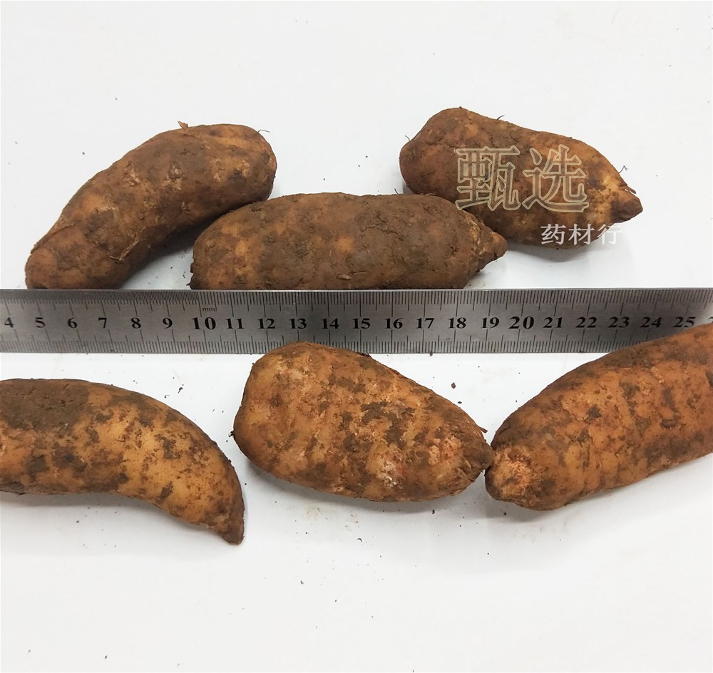 云南小草坝鲜天麻小统30克以上水印4.jpg