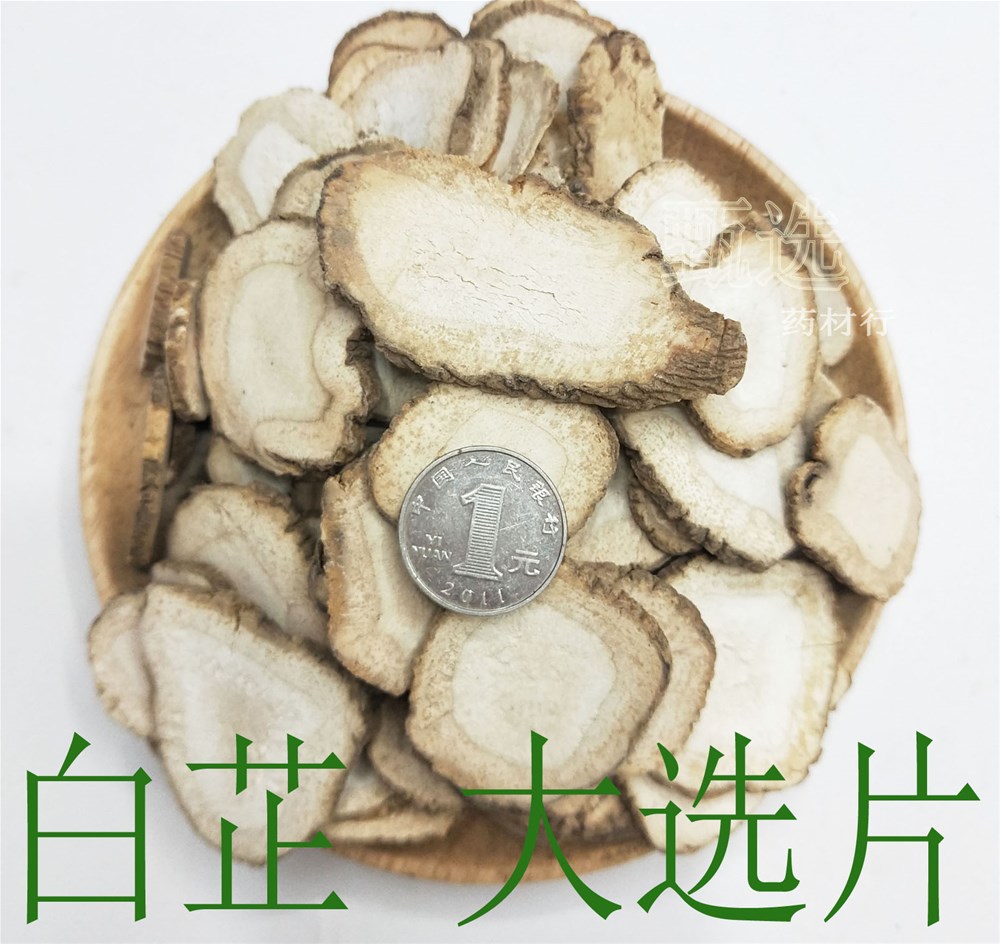 白芷大选水印1.jpg