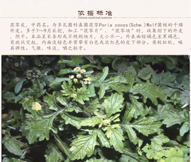 茯苓皮5.jpg