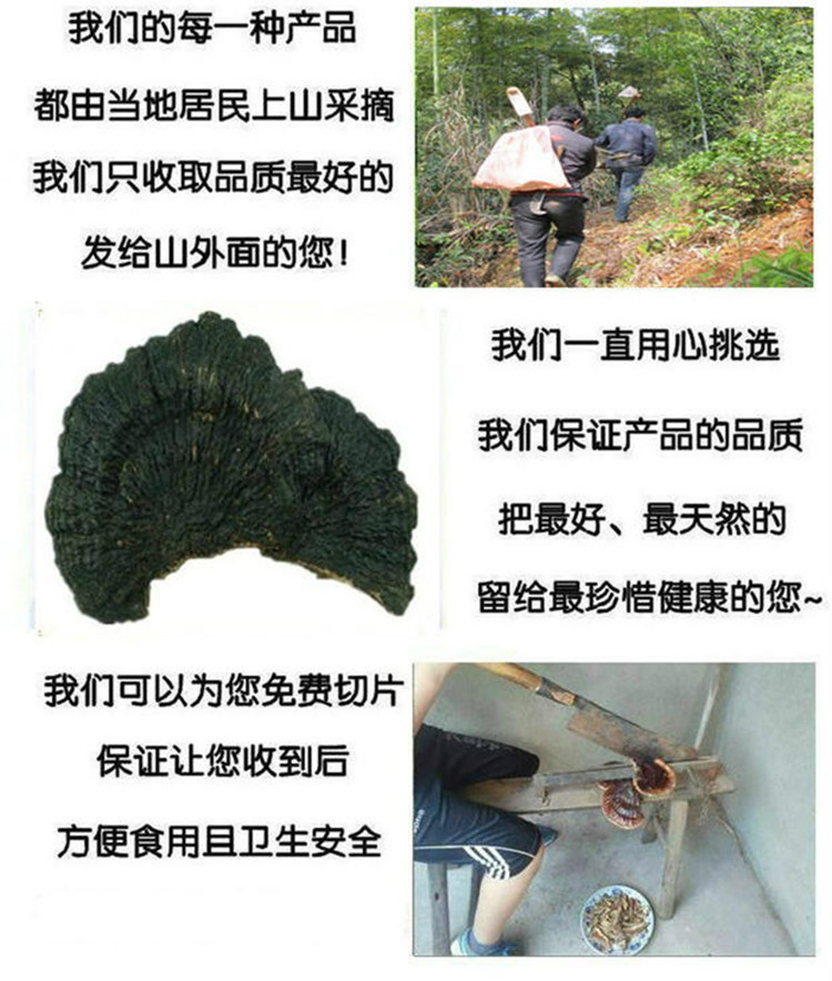 薄树芝2.jpg