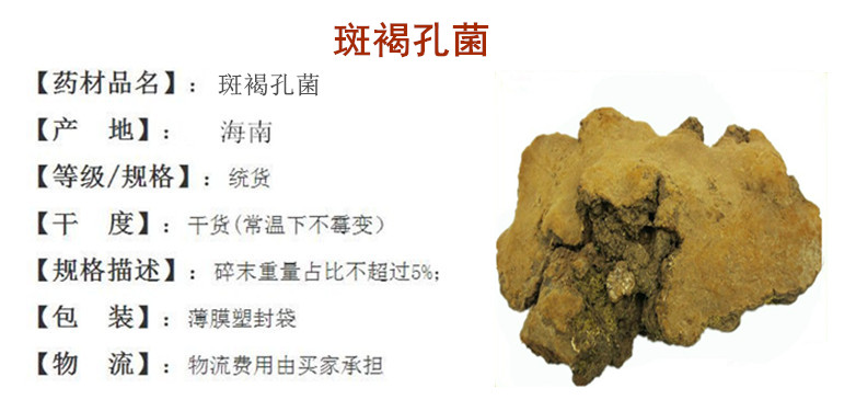 斑褐孔菌.jpg