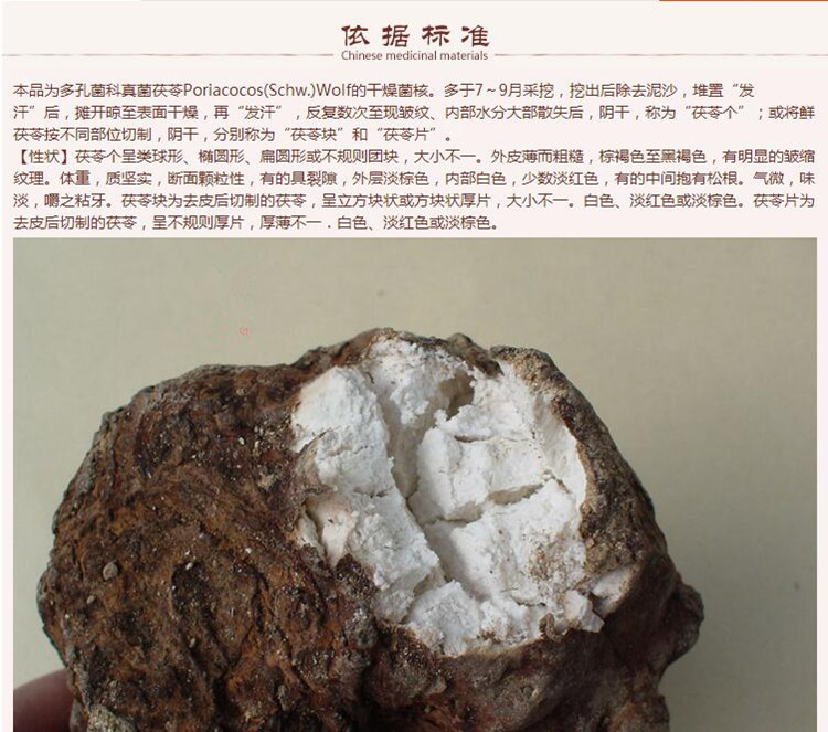 赤新茯苓6.jpg
