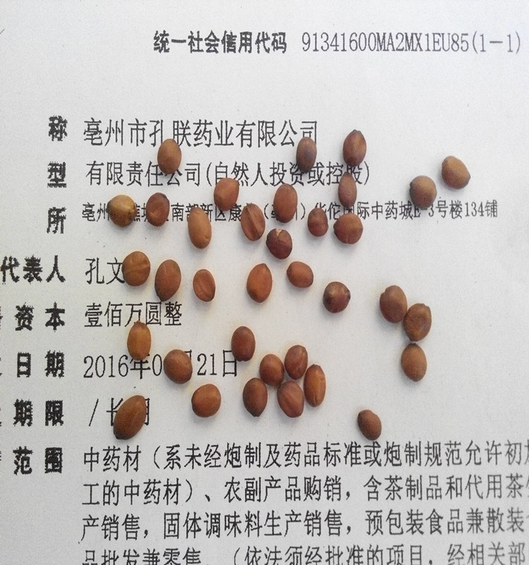 诚实通枣仁1.jpg