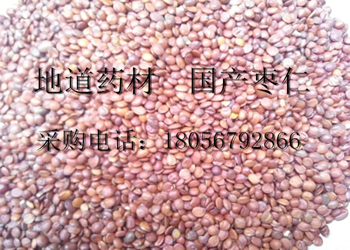 大图枣仁.jpg