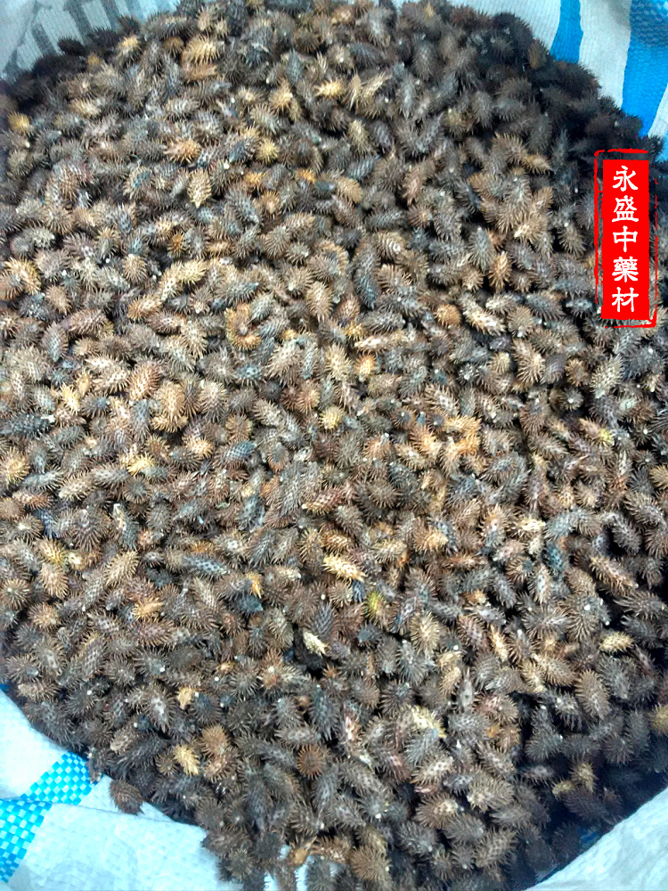 IMG_20161122_110911_HDR.jpg