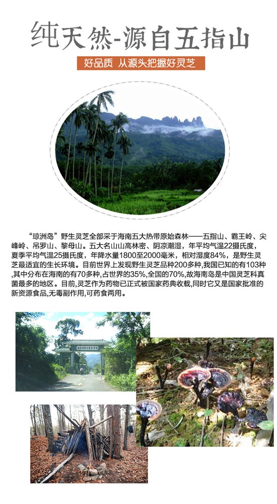 详情首图.jpg