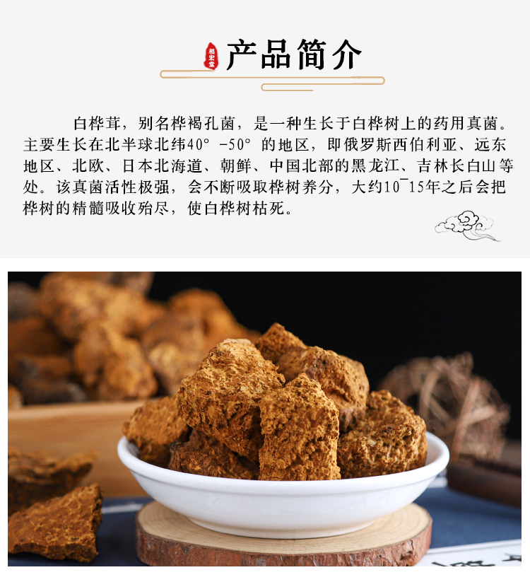 白桦茸7.jpg