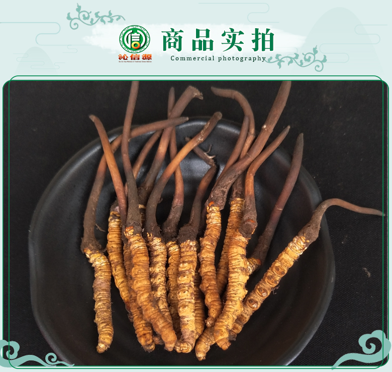 xianchongcao16~18de07.jpg