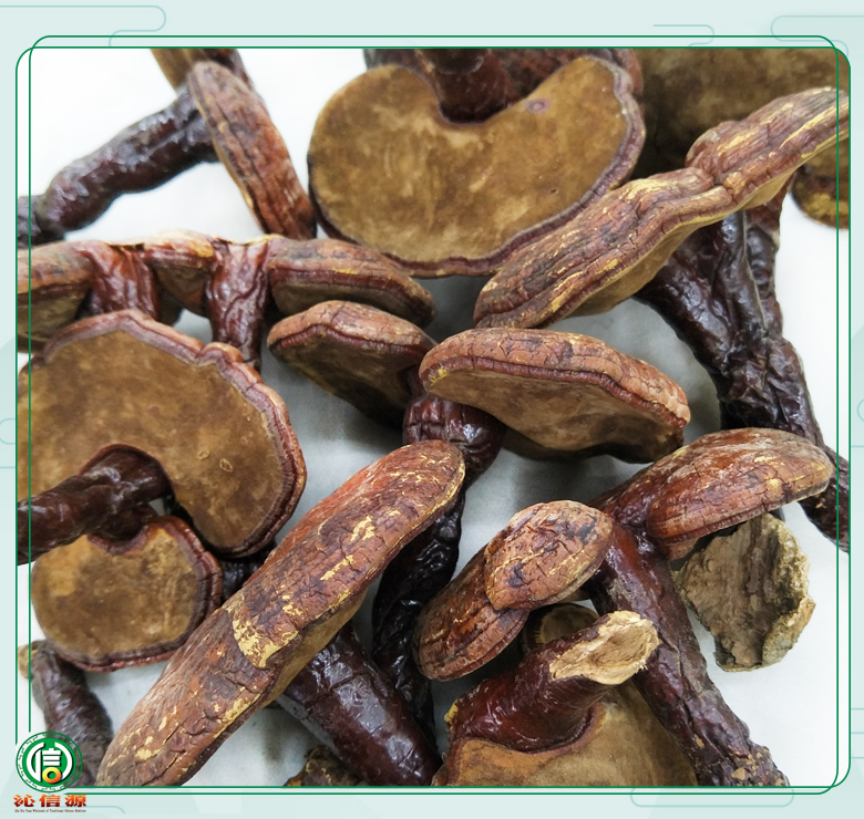 xiaoduohonglingzhitong011.jpg
