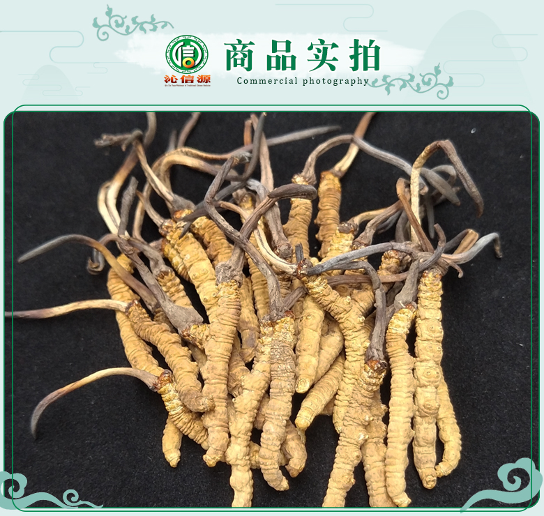 ganchongcao3000tiao07.jpg