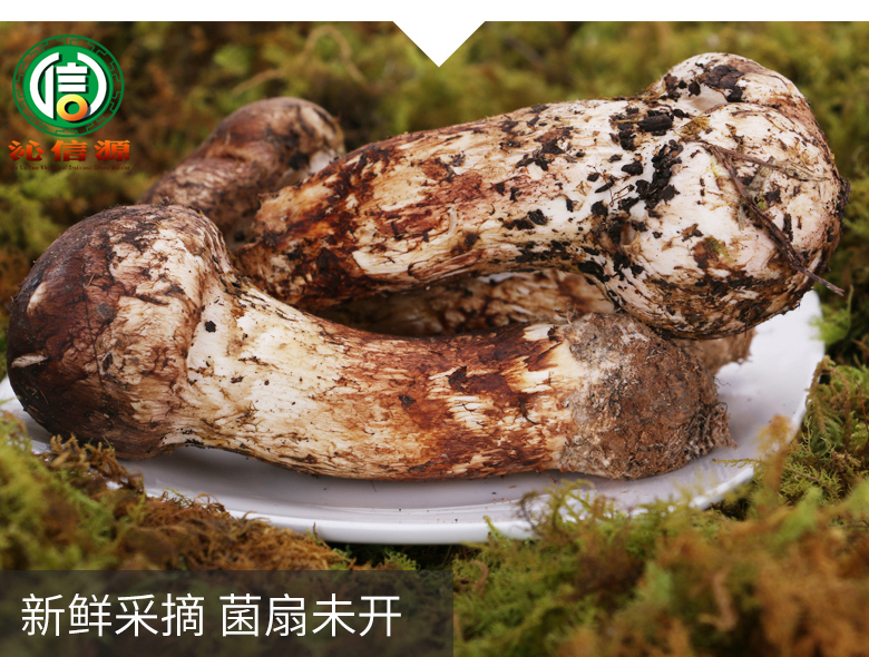 xiansongrongxiantu06.jpg