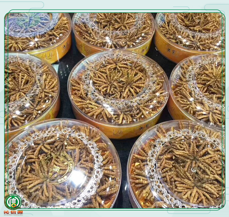 ganchongcao1800tiao013.jpg
