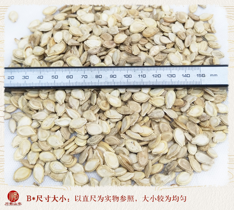cstcssndongguazishuangbiantonghuo010.jpg