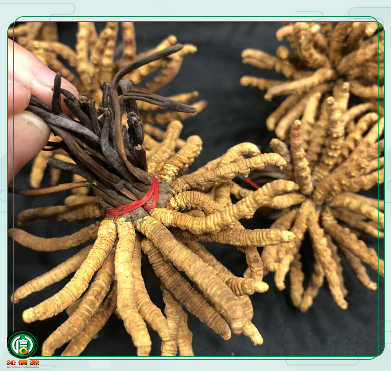 ganchongcao1800tiao014.jpg