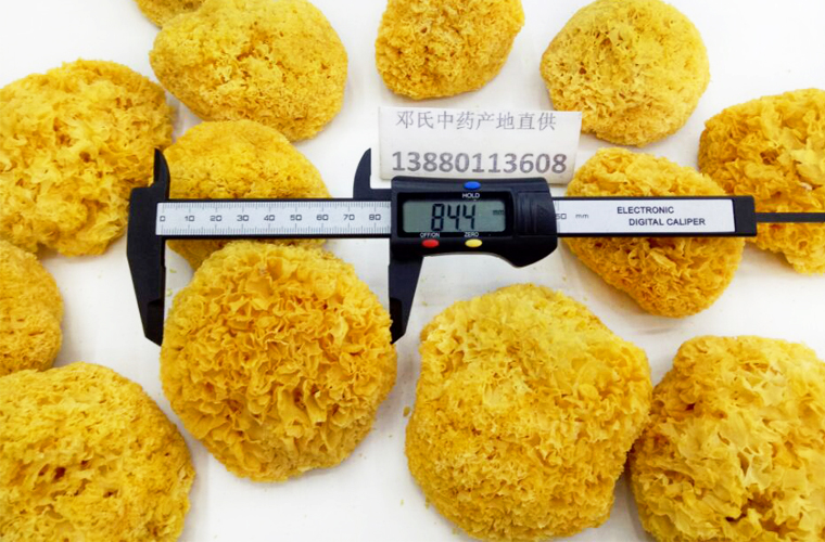 yinerxiaoduoal018.jpg