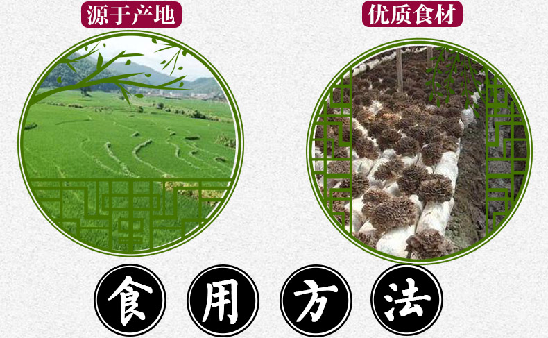灰树花详情8.jpg