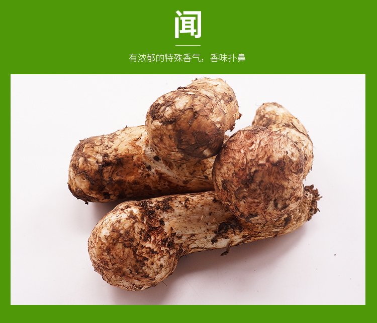 新二维码.jpg
