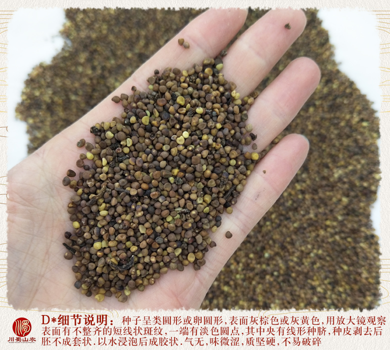 cstcssnchuantusizishuixihuo011.jpg