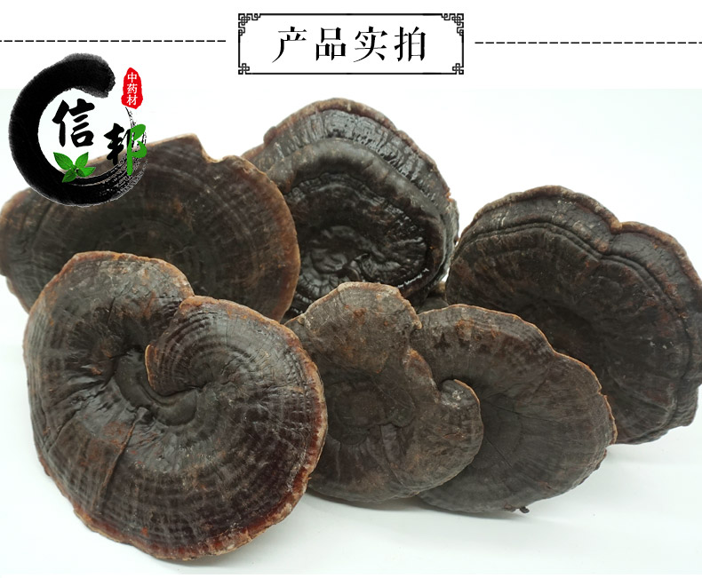 紫灵芝详情3.jpg
